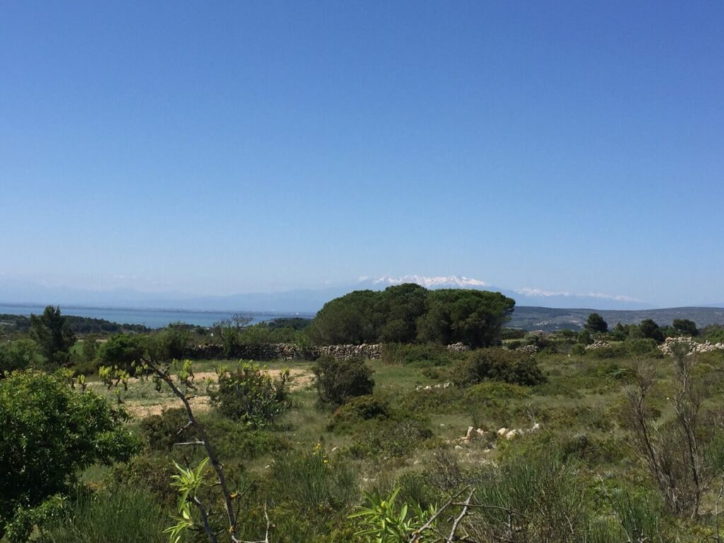 Utsikt fra Leucate med Pyreneer