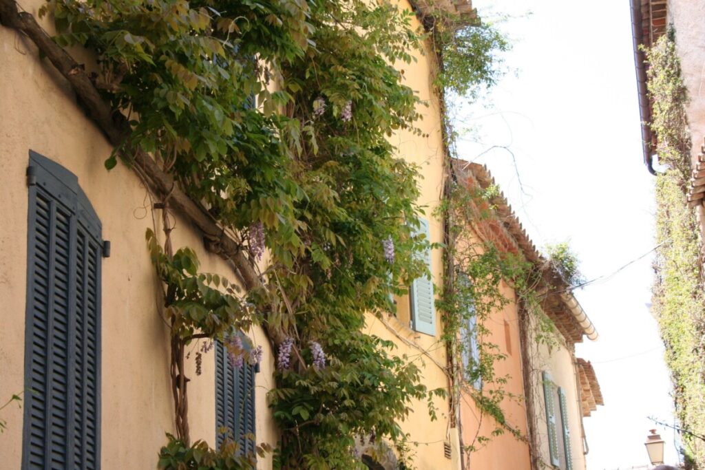 Grimaud