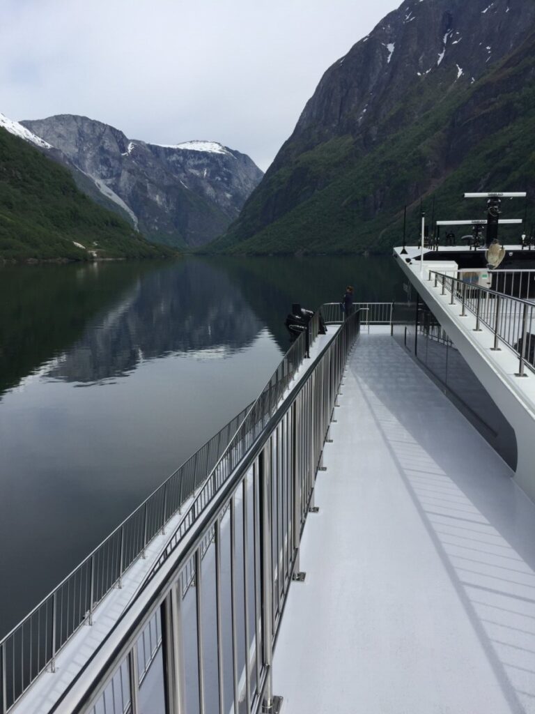 Future of the Fjords in Gudvangen