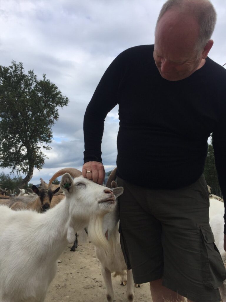 Lars cuddling the goats at Øverdalssetra