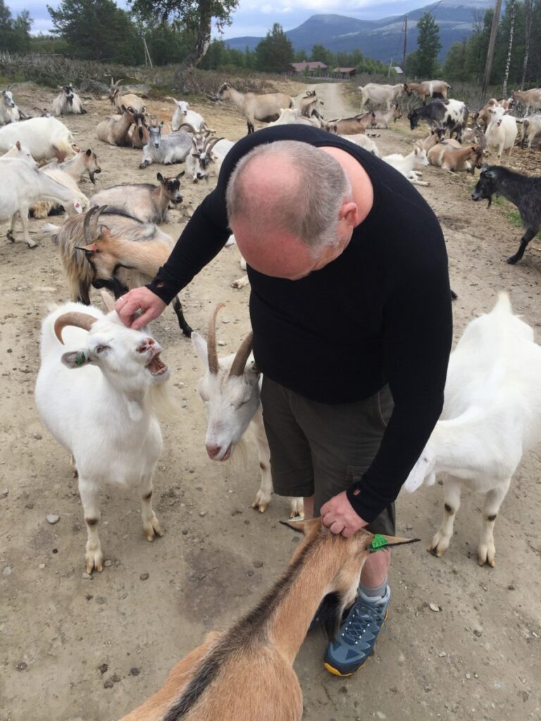 Lars koser med geitene på Øverdalssetra