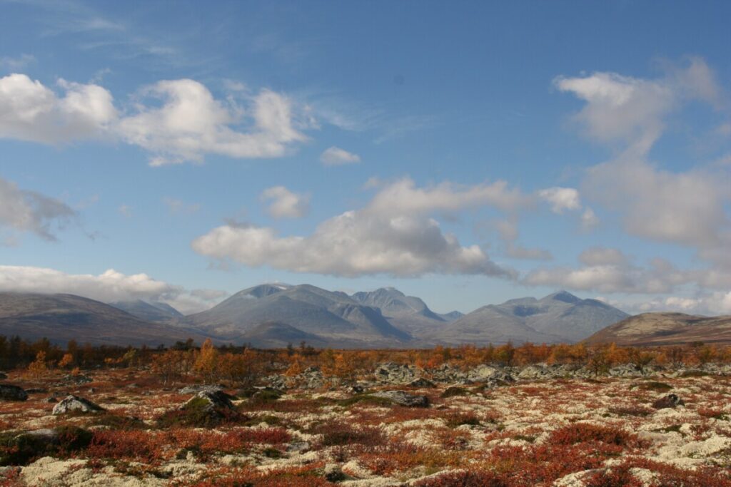 Rondane sett fra Veiskillet eller Blåsten