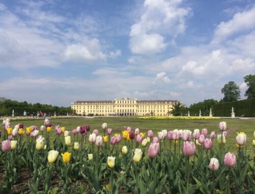 Schönbrunn i Wien