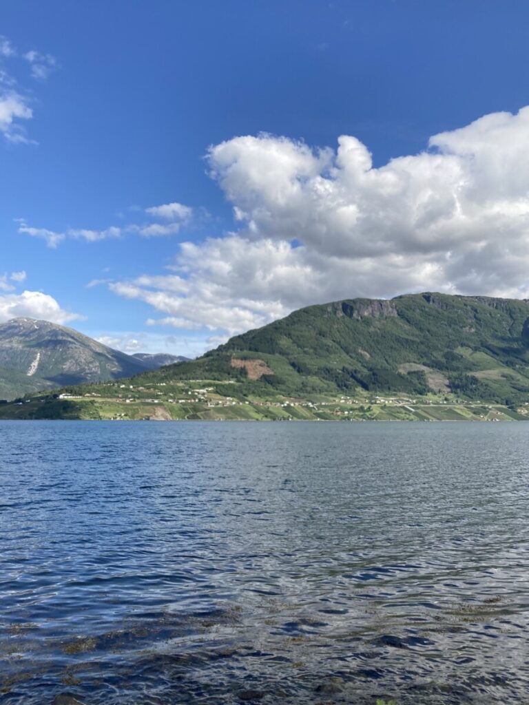 Sørfjorden i Hardanger