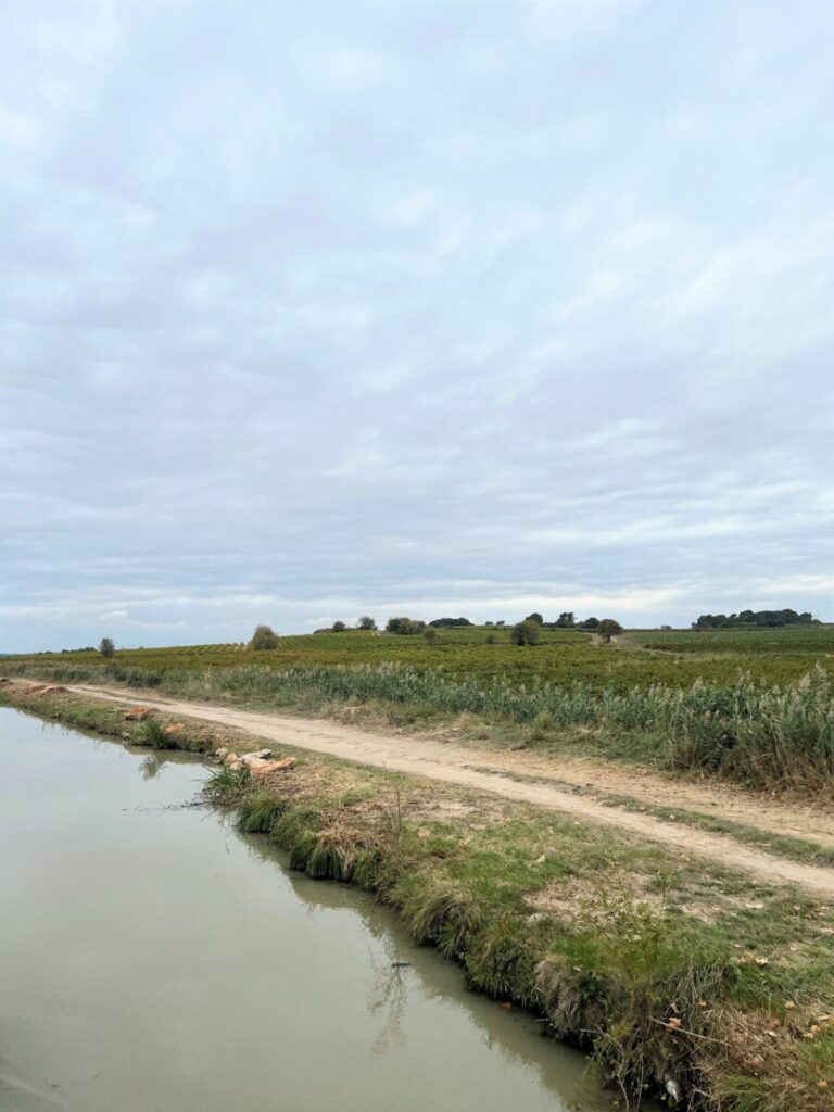 Nice paths along the canal