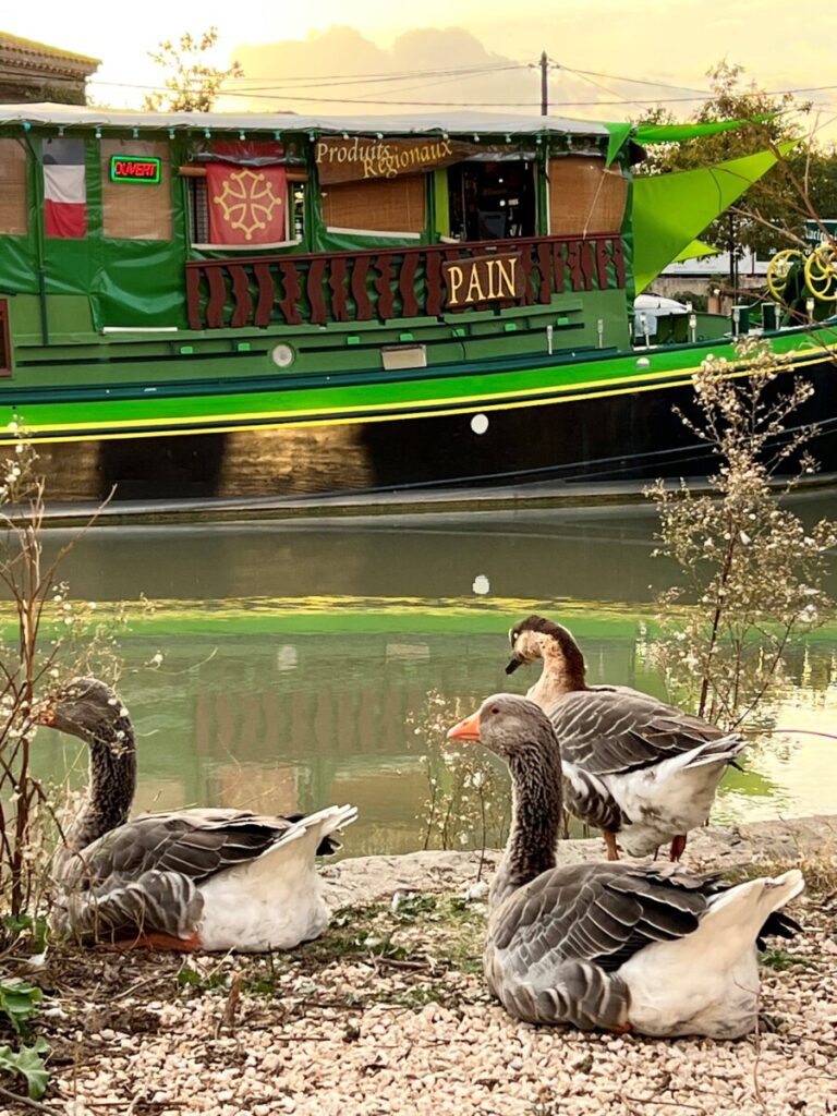 The bread boat in Le Somail