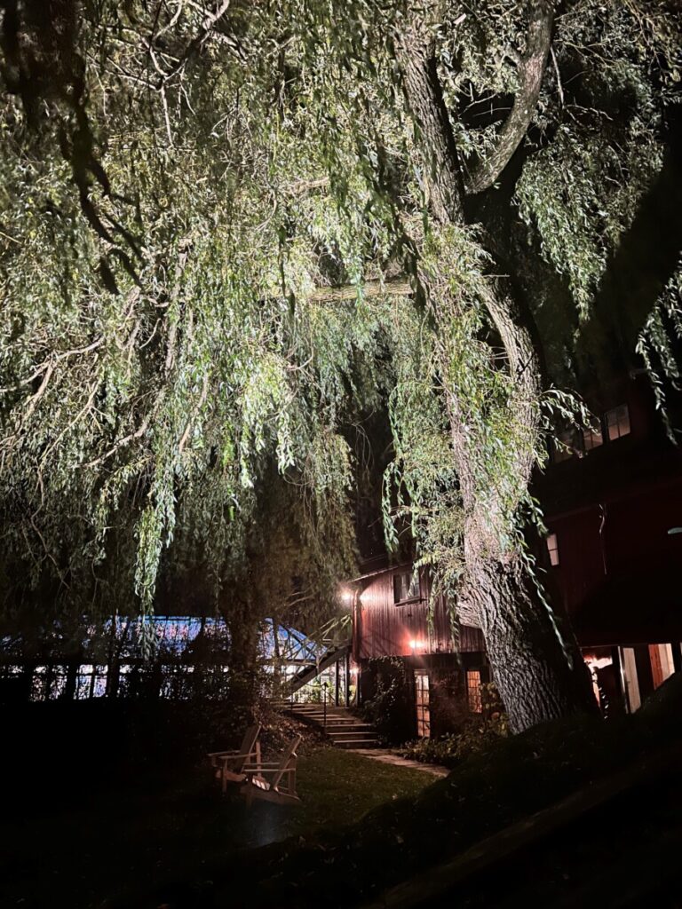 Tuntreet foran låven på Engø