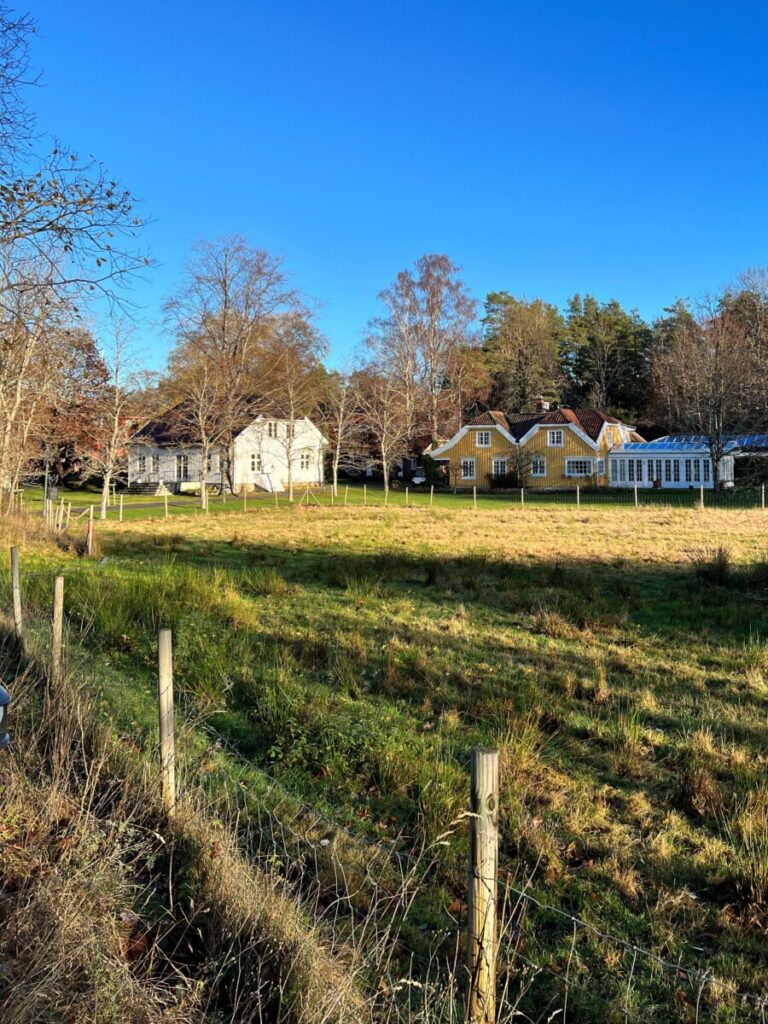 Engø gård