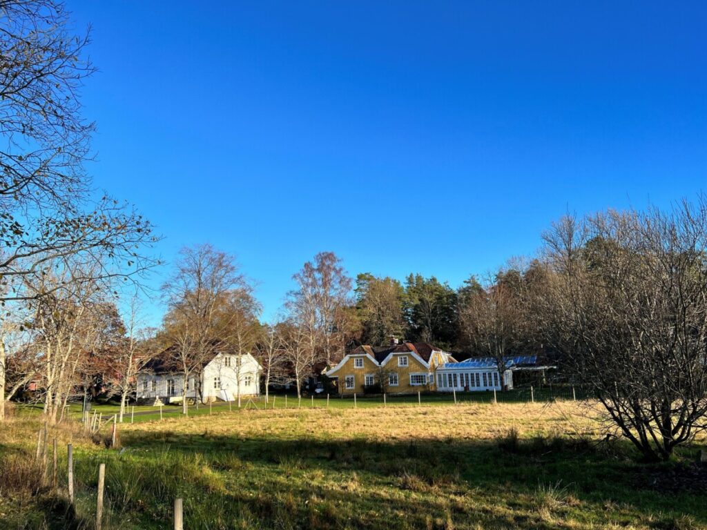 Engø sett fra Daisy-stien