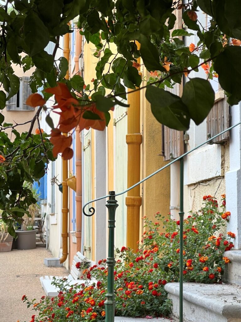 Blomster og farger på torget i Leucate