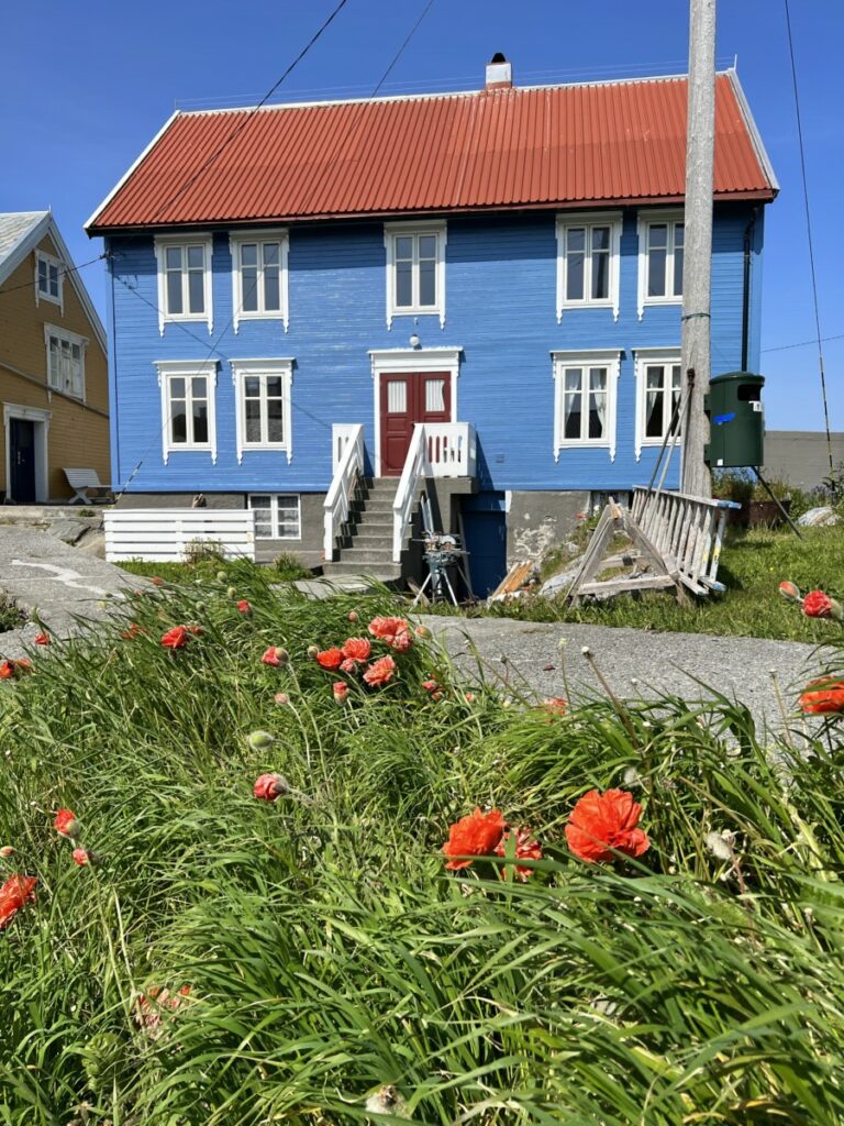 Blått hus med røde valmuer og grønt gress på Grip