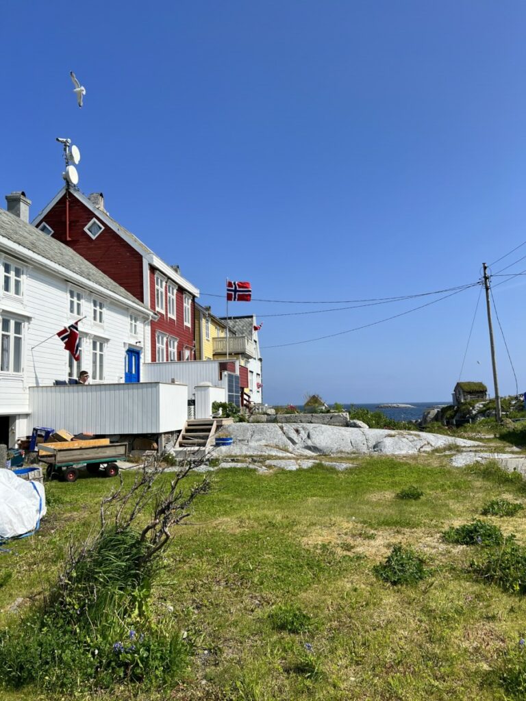 Grønt gress og fargerike hus på Grip