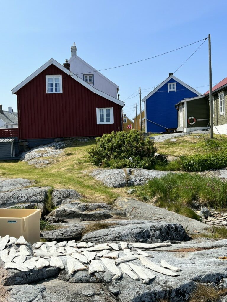 Klippfisk med hus i bakgrunnen på Grip