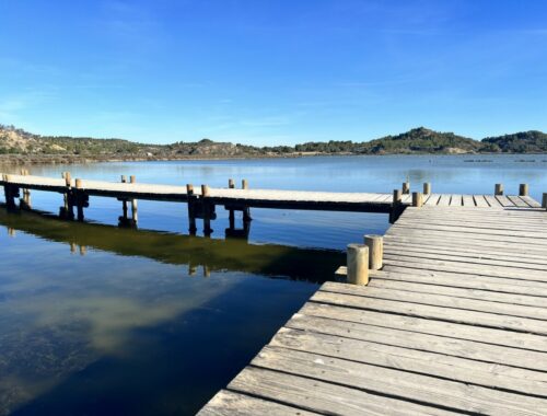 Fascinerende trestier i lagunen i Peyriac-en-Mer