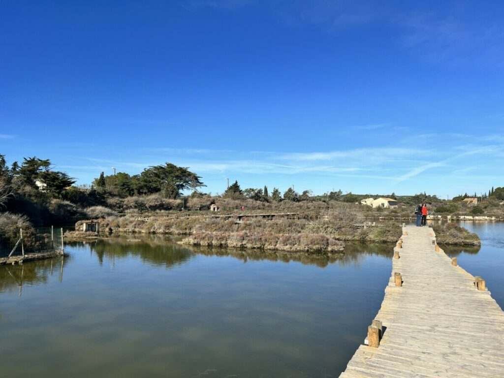 Trebruer på vannet i Peyriac-en-Mer