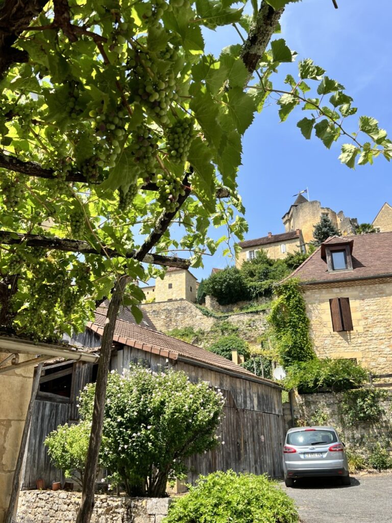 Grønne åser i Castelnaud i Dordogne